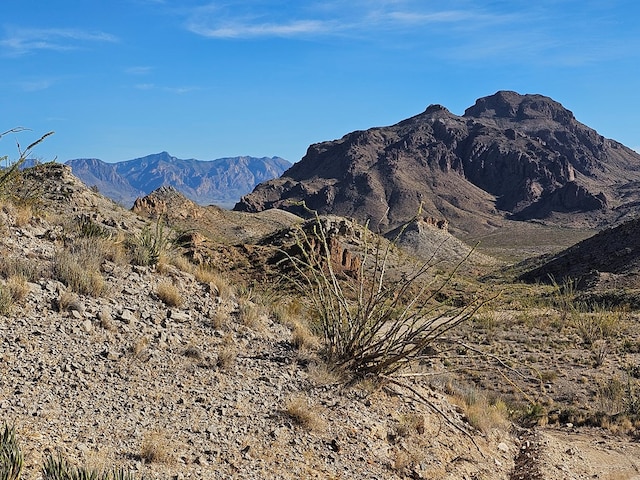 Listing photo 2 for 83D Gate 2nd Rd, Terlingua TX 79852