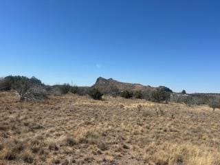 Lot1079 Texas Oak, Alpine TX, 79830 land for sale