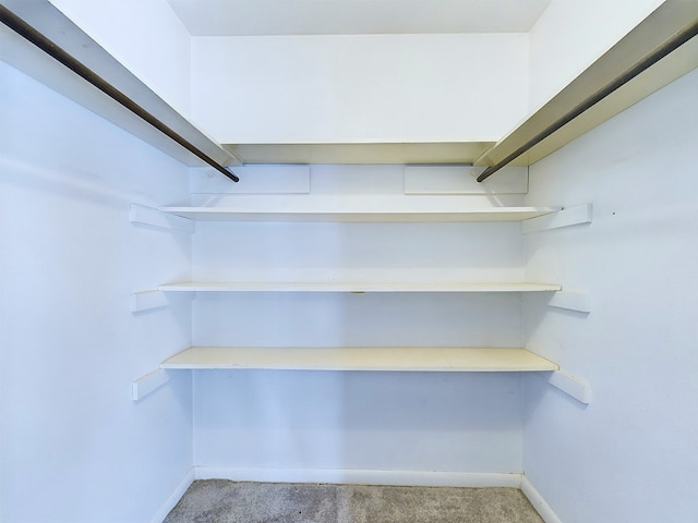 walk in closet featuring carpet floors