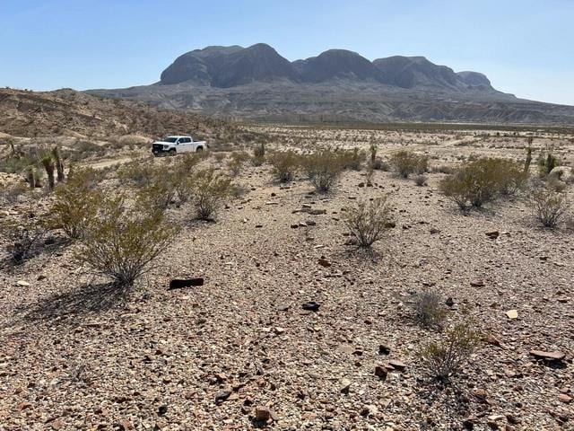 14427 Gonzales Loop, Alpine TX, 79830 land for sale