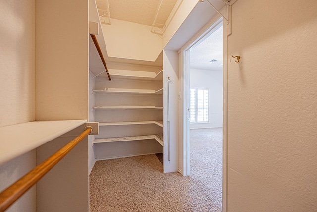 spacious closet featuring light colored carpet