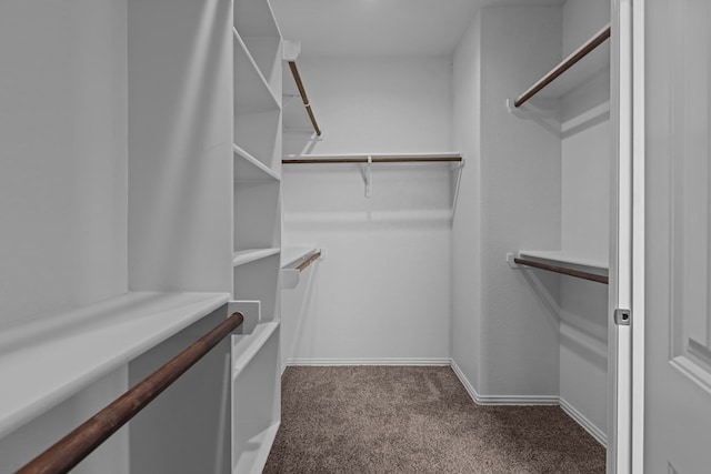 spacious closet with carpet