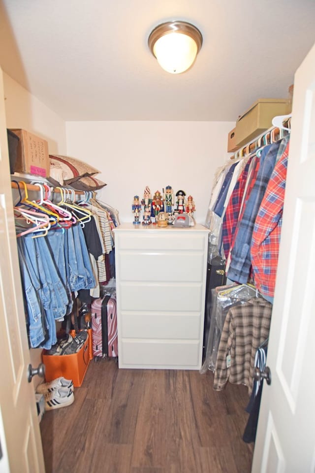 walk in closet featuring dark hardwood / wood-style floors