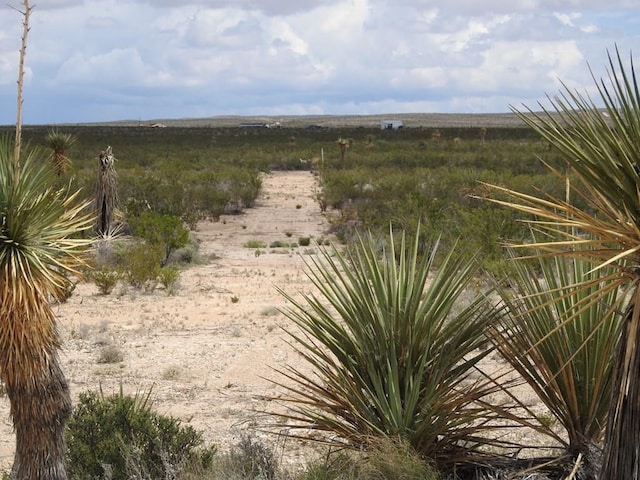 51345 State Highway 118 S, Terlingua TX, 79852 land for sale