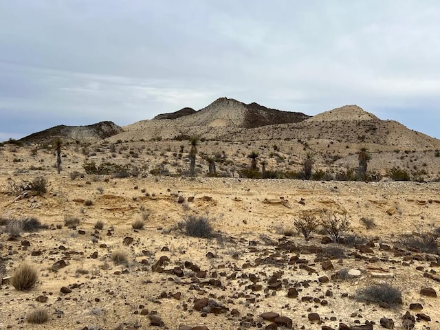 Listing photo 2 for 26600 Tanque Tierra, Terlingua TX 79852