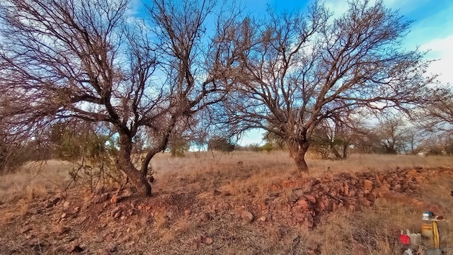 view of landscape