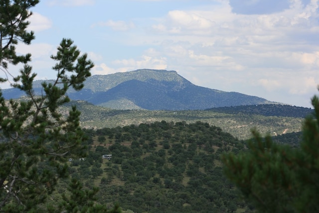 Listing photo 2 for 111 Tejano Cyn, Fort Davis TX 79734