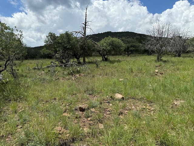 111 Tejano Cyn, Fort Davis TX, 79734 land for sale