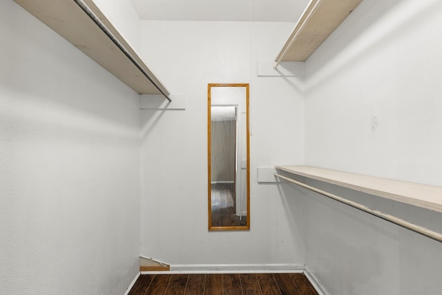 spacious closet featuring dark hardwood / wood-style floors