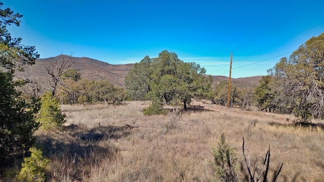 Listing photo 2 for 206 Apache Mountain Trl, Fort Davis TX 79734