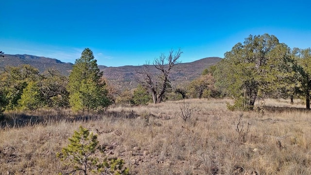 206 Apache Mountain Trl, Fort Davis TX, 79734 land for sale