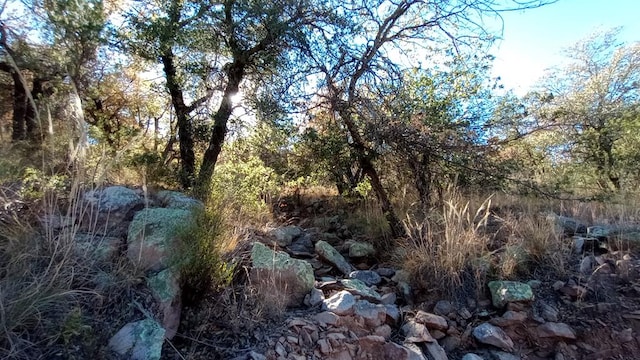 112 Six Shooter Gulch, Fort Davis TX, 79734 land for sale