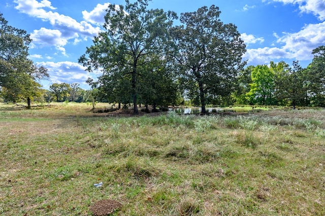 view of local wilderness featuring a water view