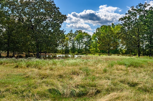 view of nature with a water view and a rural view