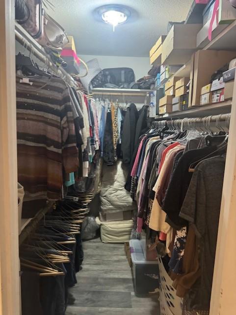 spacious closet featuring hardwood / wood-style flooring