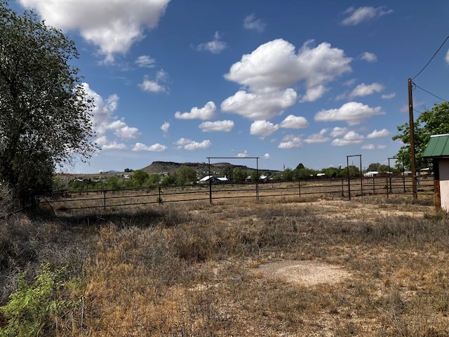 view of yard with a rural view