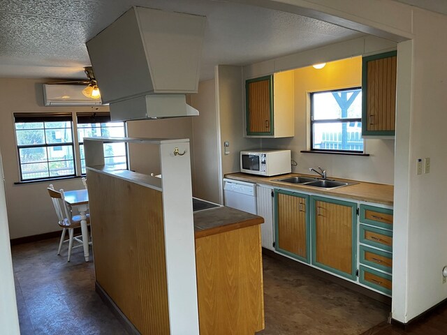 kitchen featuring sink, white appliances, plenty of natural light, and ceiling fan