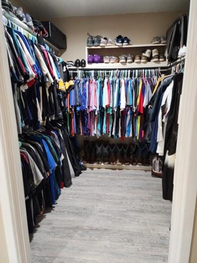 spacious closet featuring wood-type flooring