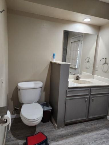 bathroom featuring vanity, toilet, and wood-type flooring