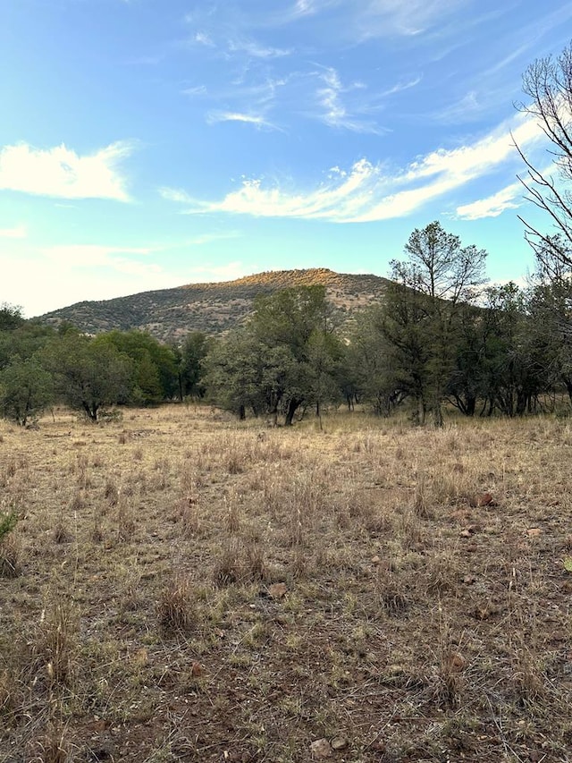 Listing photo 3 for 100 Tejano Cyn, Fort Davis TX 79734