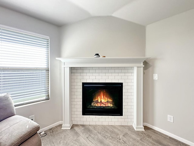 room details with a fireplace and hardwood / wood-style flooring