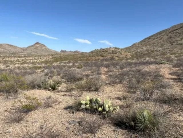 Listing photo 3 for 27236 Lake Ament Rd, Terlingua TX 79852