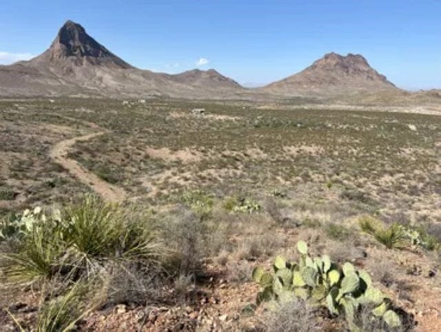 Listing photo 2 for 27236 Lake Ament Rd, Terlingua TX 79852