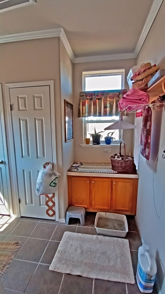 mudroom with dark tile patterned floors and ornamental molding