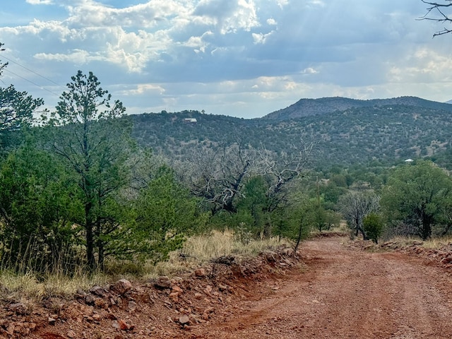 Listing photo 2 for 336 High Lonesome, Fort Davis TX 79734