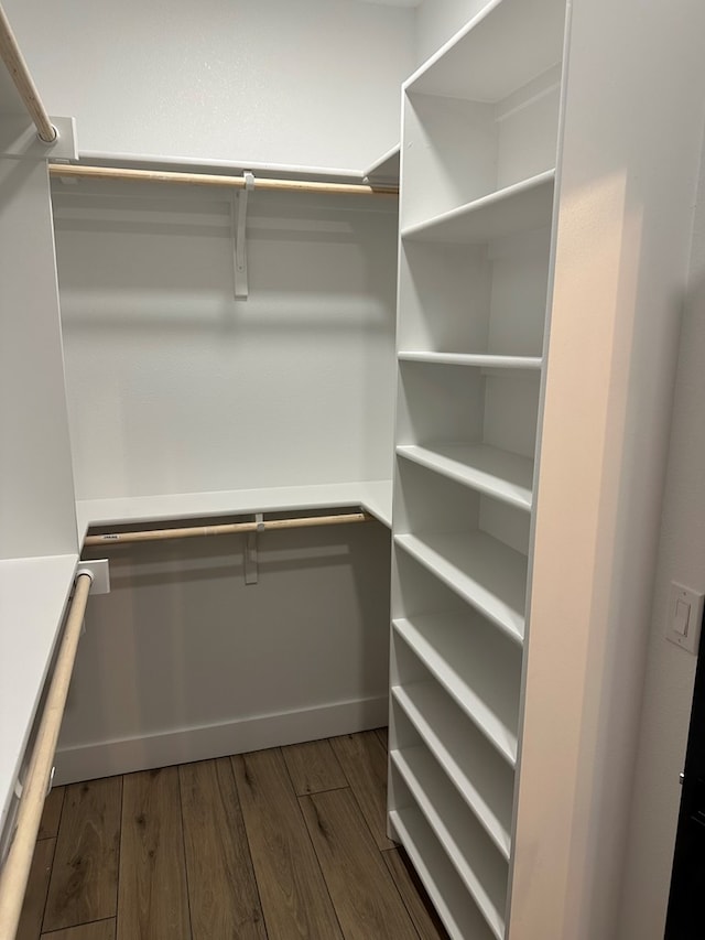 spacious closet with hardwood / wood-style flooring