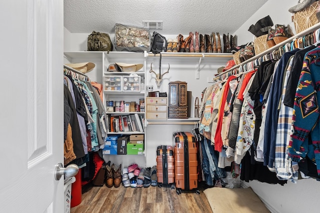 spacious closet with hardwood / wood-style flooring