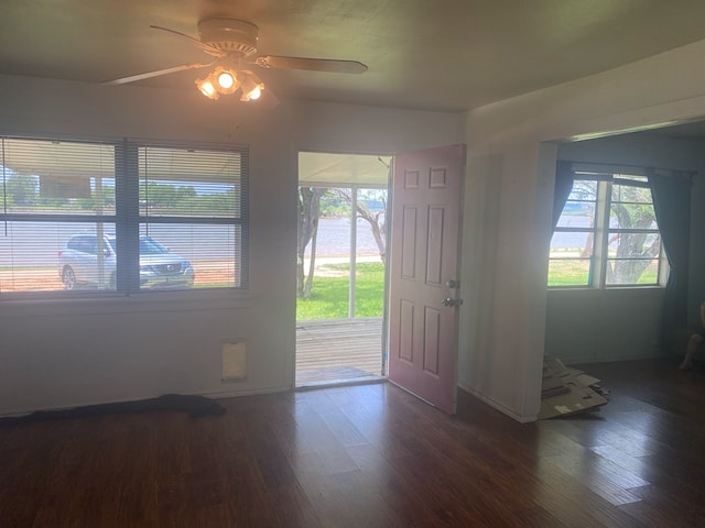 foyer with ceiling fan and dark hardwood / wood-style flooring