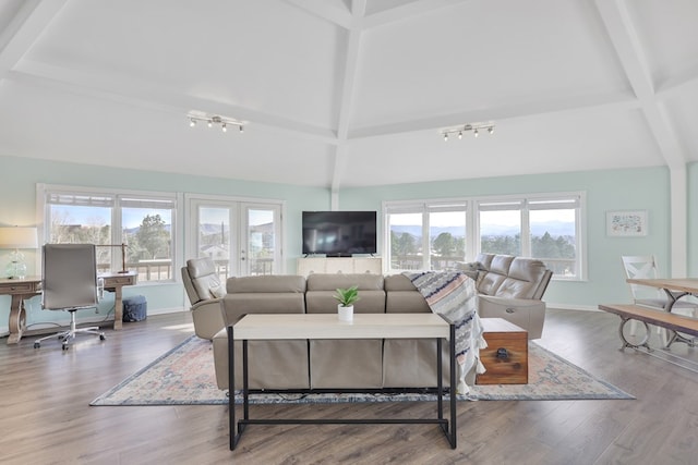 living area featuring a wealth of natural light, beamed ceiling, and wood finished floors