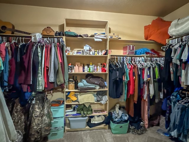 spacious closet featuring carpet flooring