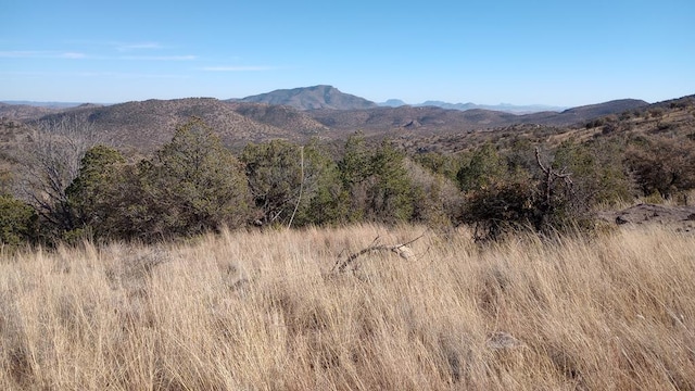 209 High Meadow Trl, Fort Davis TX, 79734 land for sale