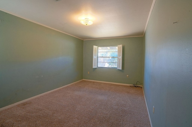 unfurnished room featuring carpet flooring and crown molding