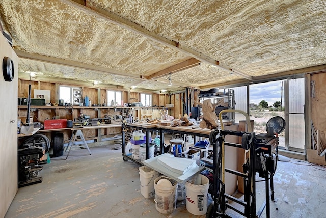 miscellaneous room with a workshop area and a wealth of natural light