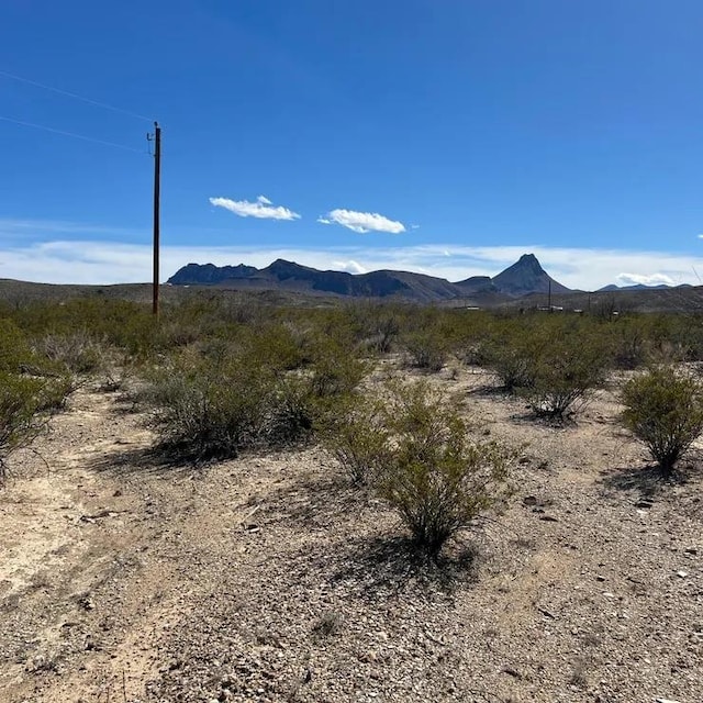 31466 Ringtail Rd, Alpine TX, 79830 land for sale