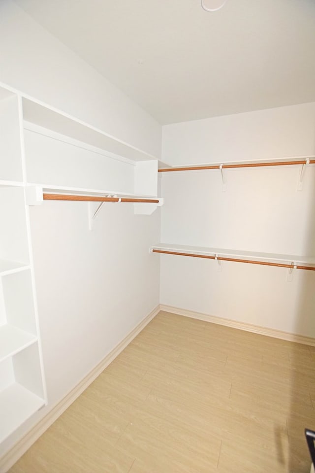 spacious closet featuring light hardwood / wood-style floors