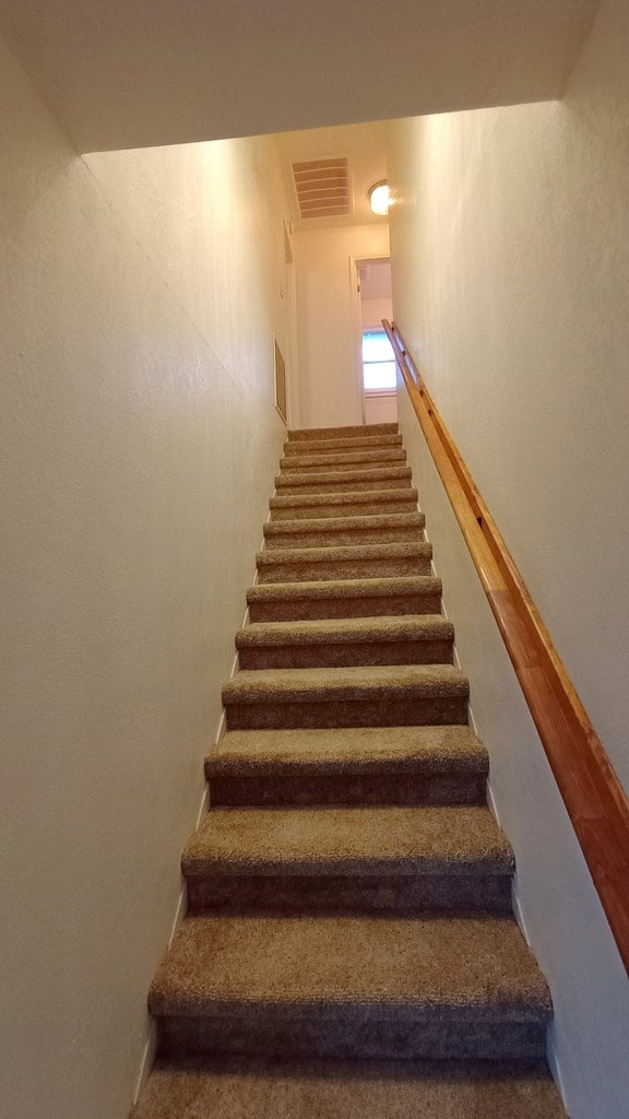 staircase with carpet floors