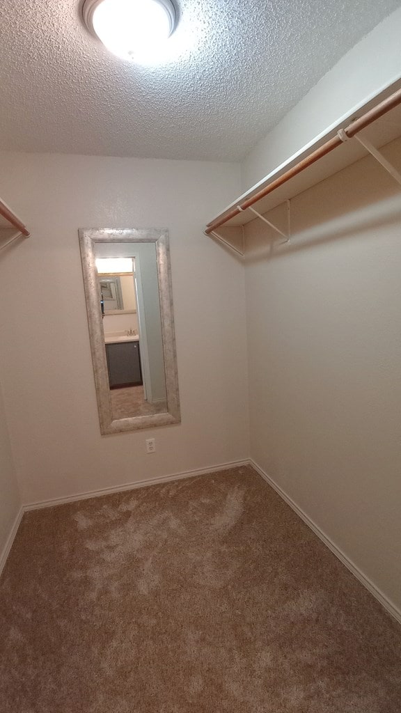 spacious closet with carpet flooring