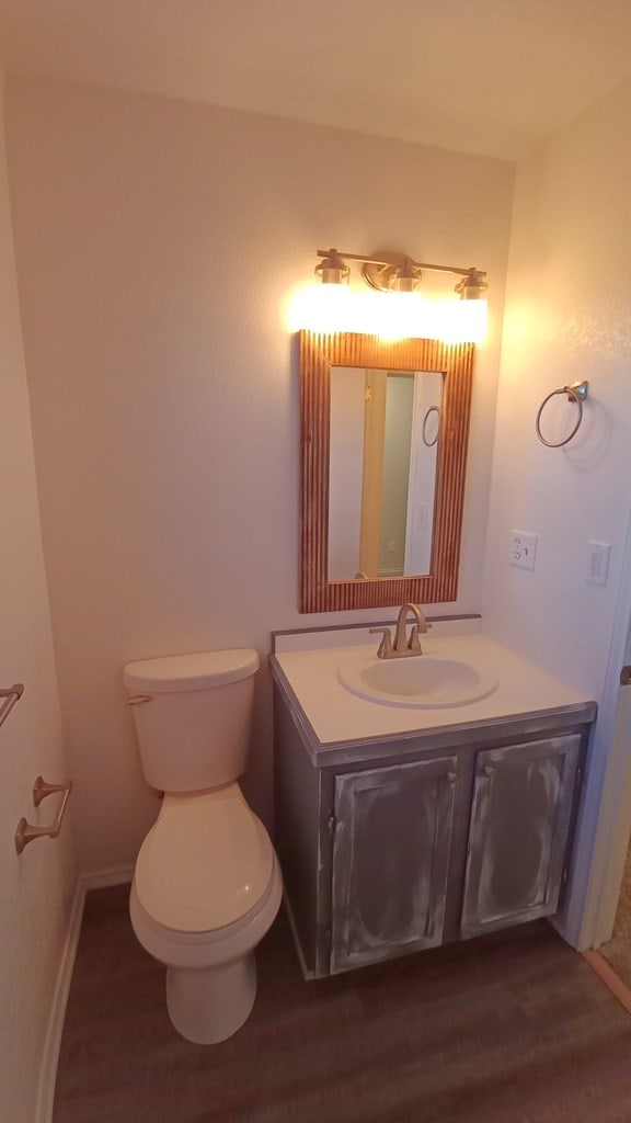 bathroom with hardwood / wood-style floors, vanity, and toilet