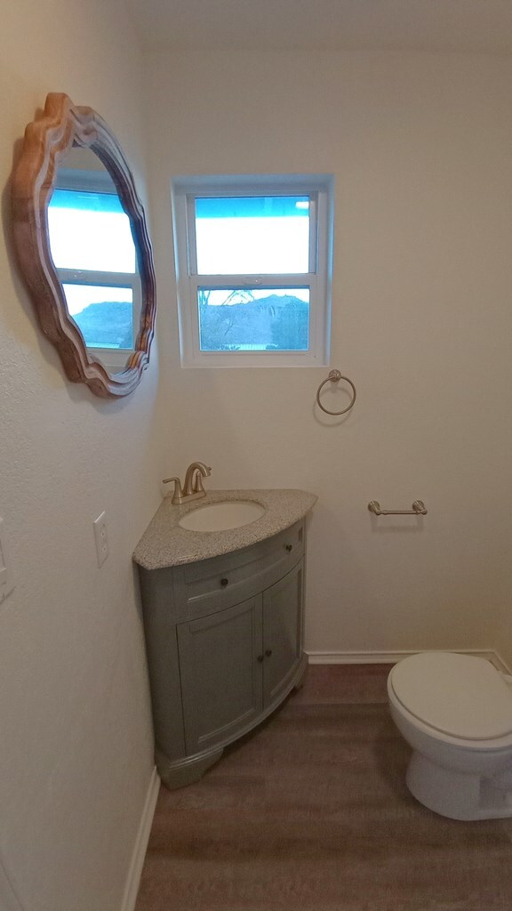 bathroom with hardwood / wood-style floors, vanity, and toilet