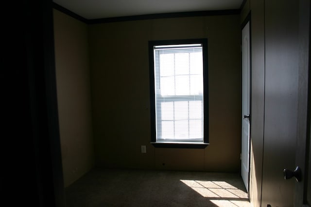 unfurnished room with light carpet