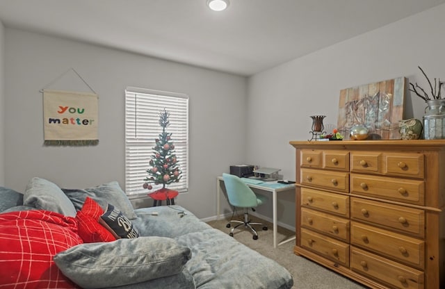 bedroom with carpet flooring