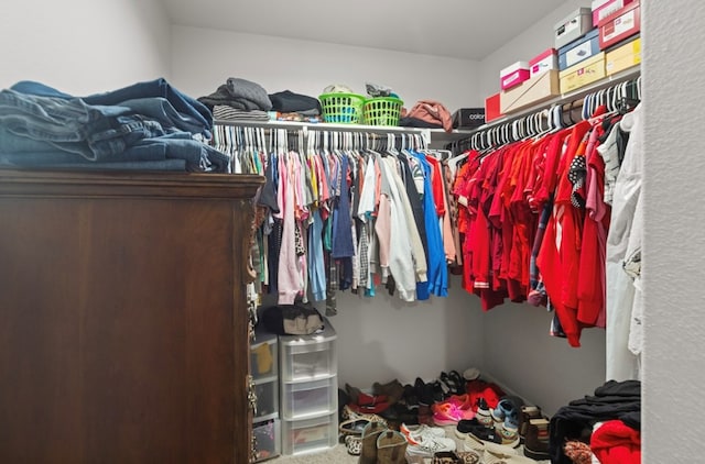 spacious closet featuring carpet flooring