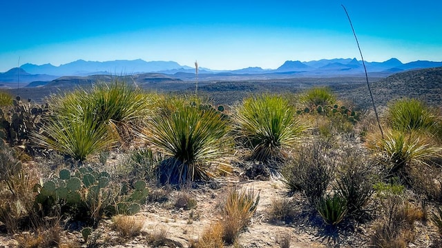 21419 Garnet Ave, Terlingua TX, 79852 land for sale