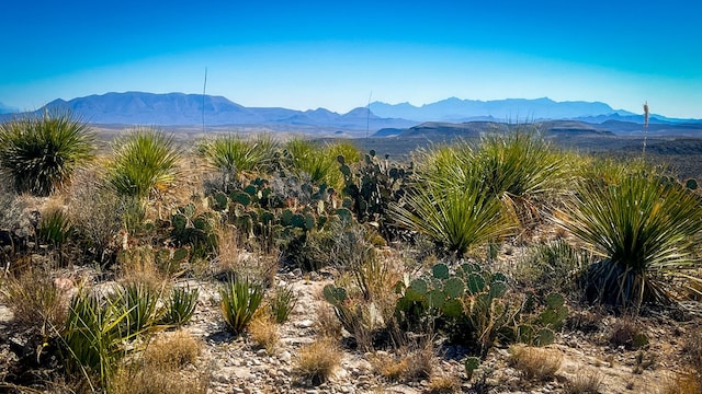 Listing photo 2 for 21419 Garnet Ave, Terlingua TX 79852