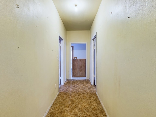 hallway featuring light carpet