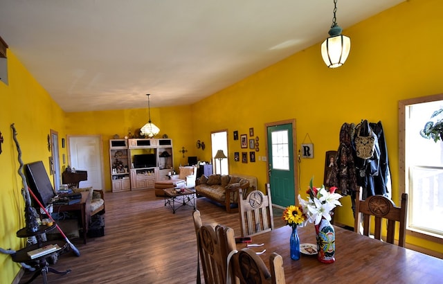 dining space with a wealth of natural light and dark hardwood / wood-style flooring